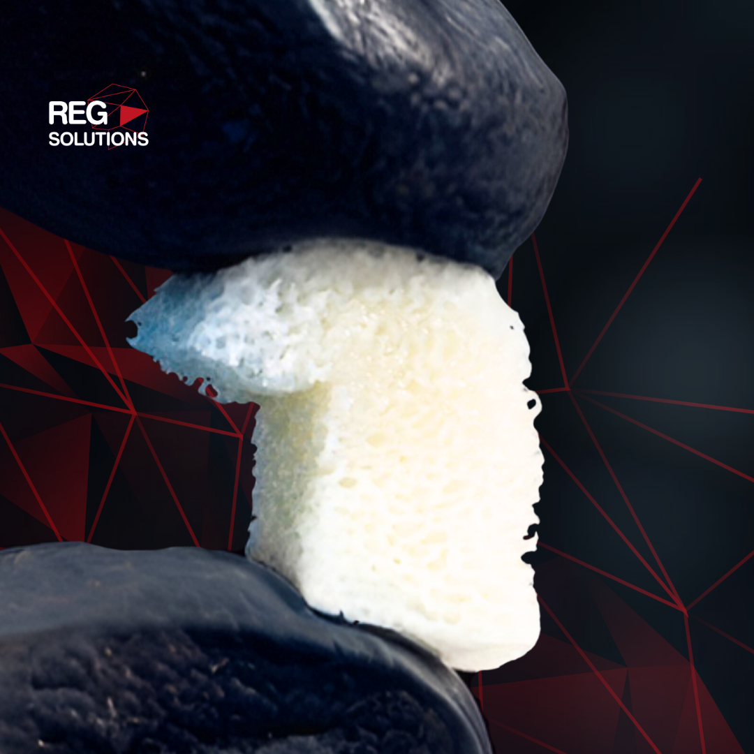 Bioplant Elasta - Bloque óseo esponjoso flexible