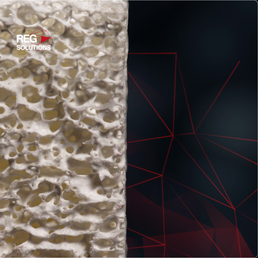 Bioplant Block - Tejido Óseo en Bloque de Alta Resistencia